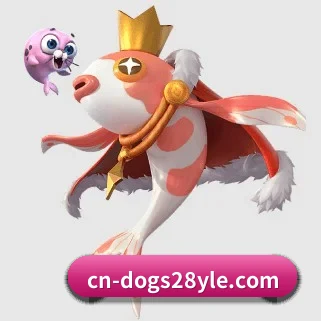 c7c7.app APP