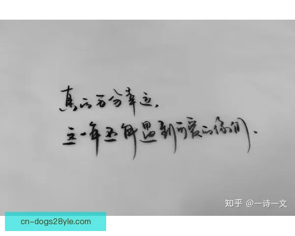 立足今日拼出更好未来不念过往